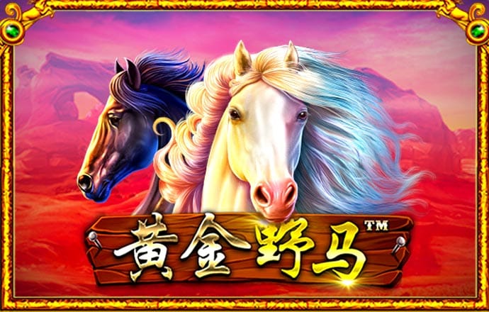 bob半岛官方网站首页