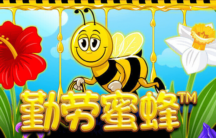 大发购彩大厅登录入口